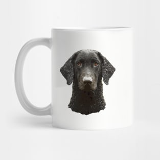 Curly Coated Retriever Mug